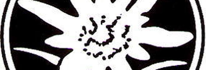 Il logo Svp