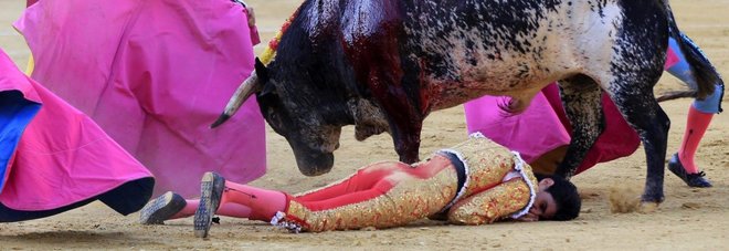 Spagna, torero 29enne muore incornato durante la corrida