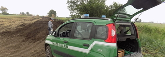 Roccagorga, incendio in collina: i carabinieri del Nipaaf arrestano piromane di 37 anni