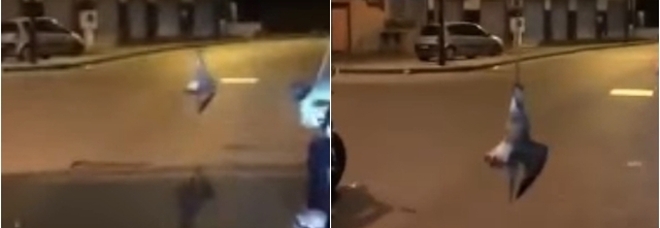Napoli, gabbiano impiccato in strada: video agghiacciante sui social