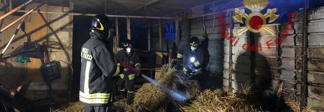 Pescara, stalla in fiamme nella notte: i vigili del fuoco salvano i cavalli