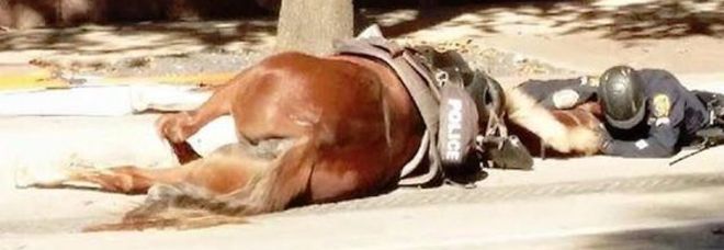 L'abbraccio tra il cavaliere e il cavallo morente: la foto commuove il web
